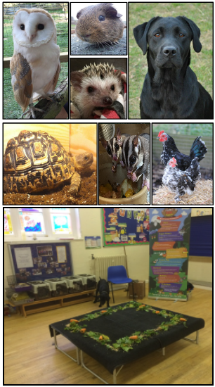 Animals included on an indoor visit